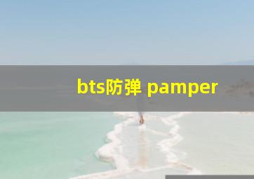 bts防弹 pamper